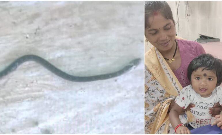  बस्तर की चौंकाने वाली घटना: 9 माह की मासूम ने करैत सांप को काटा, सांप की मौत – बच्ची सकुशल