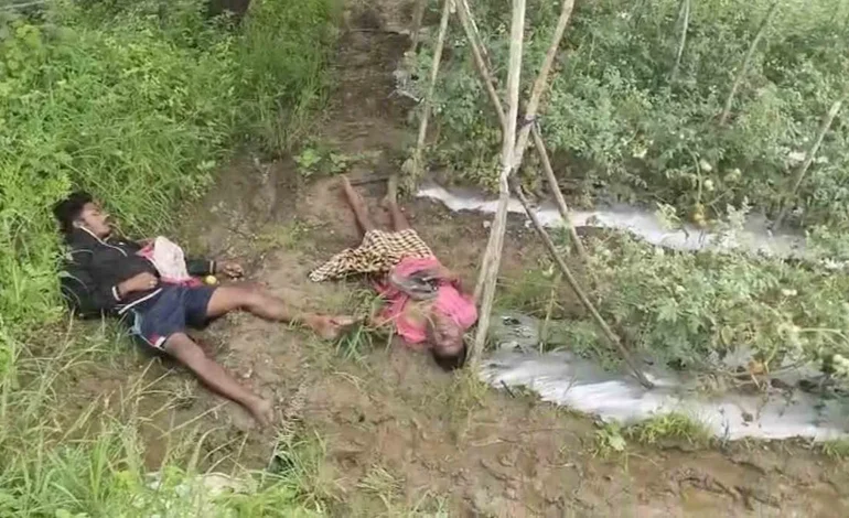  ⚡ खेत से टमाटर चोरी करने पहुंचे थे पिता-पुत्र, हाईटेंशन तारों ने ले ली जान… गांव में मचा हड़कंप