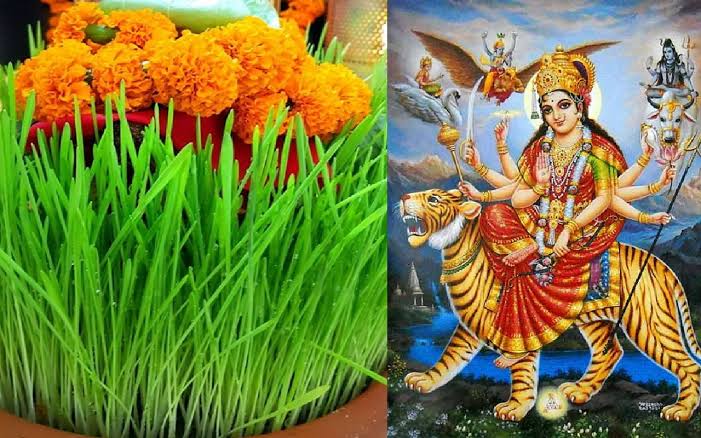 आखिर क्यों नवरात्रि में बोए जाते हैं जवारे?